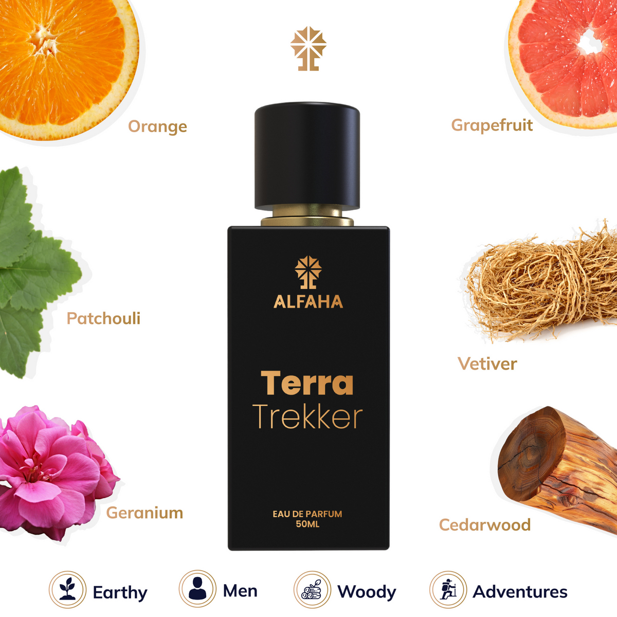 Terra Trekker fragrance profile – opens with energetic notes of grapefruit, pink pepper, and orange, followed by earthy geranium and patchouli, and settles into a rugged foundation of vetiver, cedarwood, benzoin, and gunpowder.