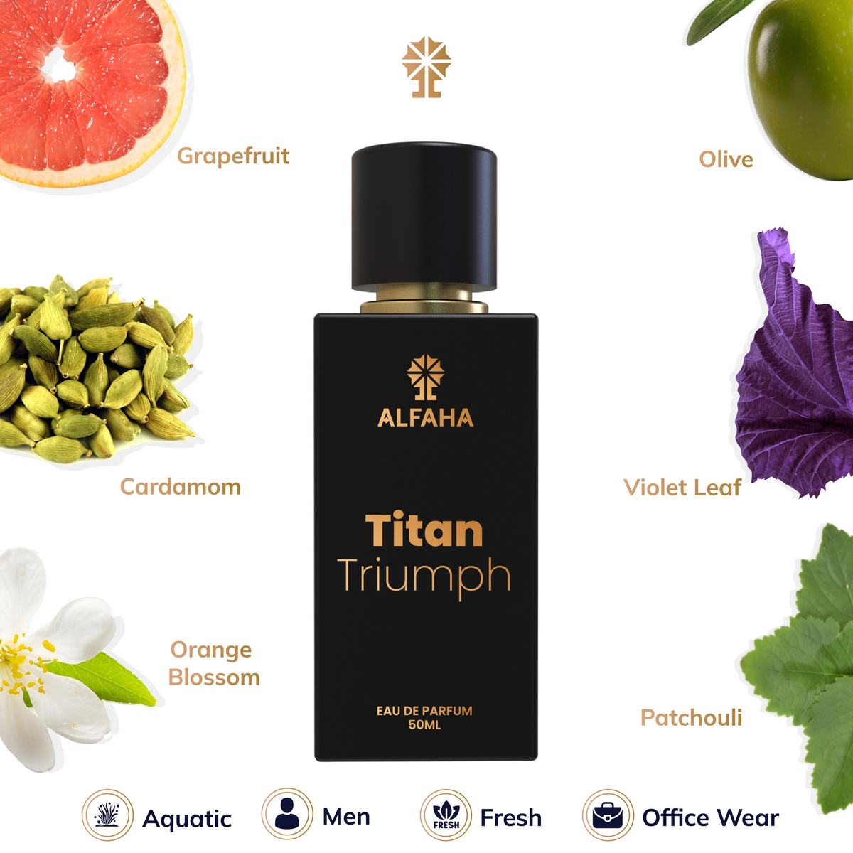 Titan Triumph fragrance profile – opens with refreshing Grapefruit and Marine notes, transitions into Violet, Orange Blossom, and Cardamom, and settles with Guaiac Wood, Amber, and Olive Tree.