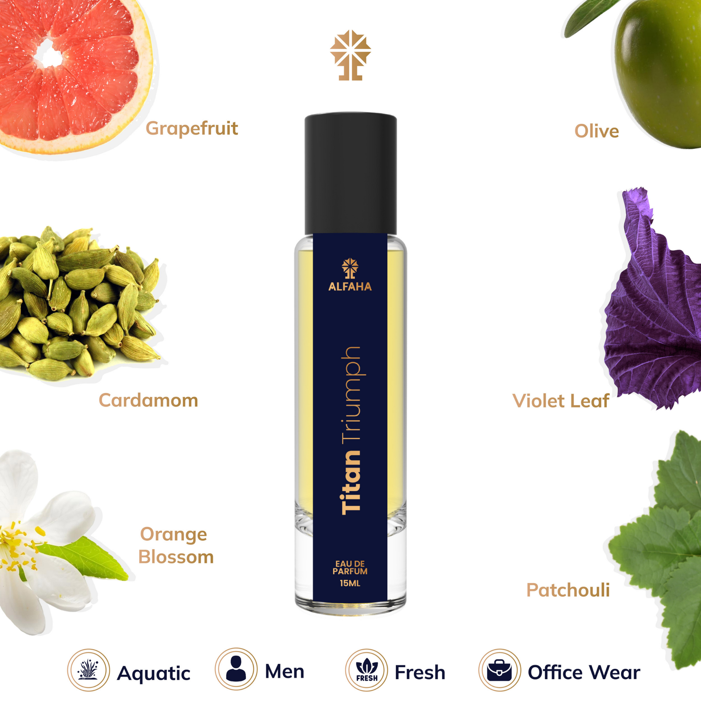 Titan Triumph fragrance profile – opens with refreshing Grapefruit and Marine notes, transitions into Violet, Orange Blossom, and Cardamom, and settles with Guaiac Wood, Amber, and Olive Tree.
