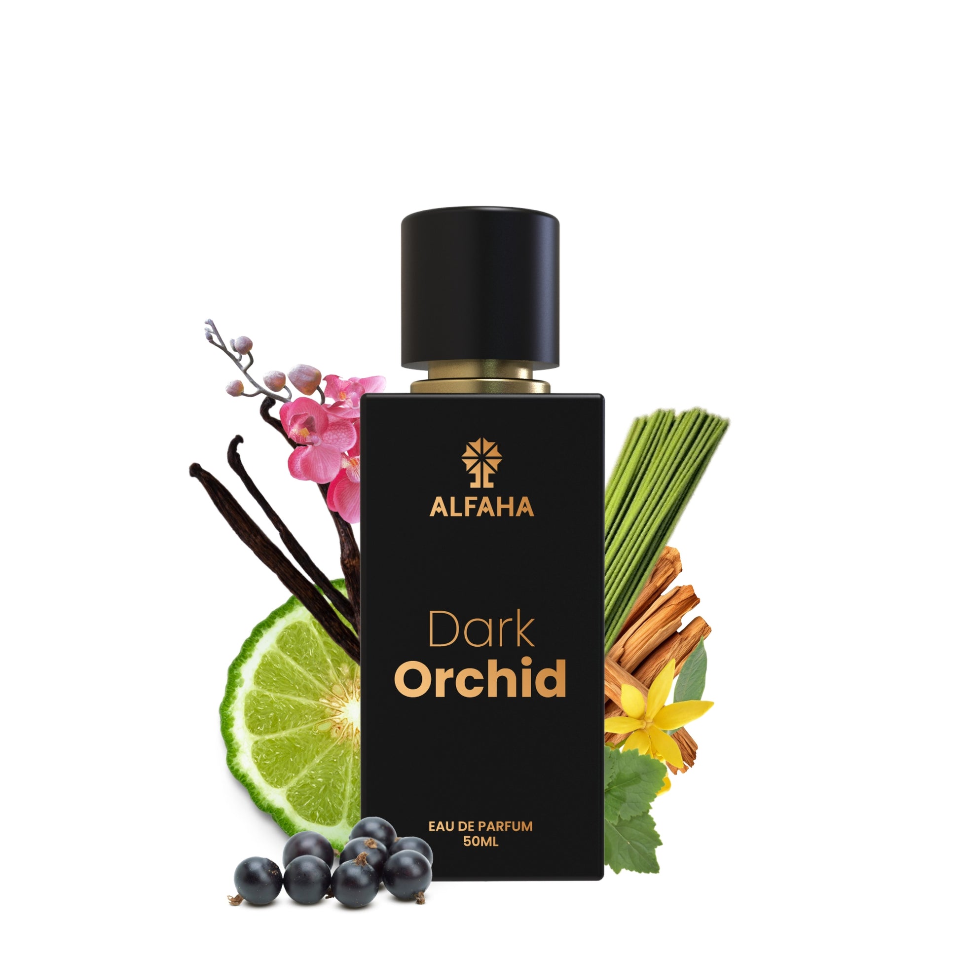 ALFAHA™ Dark Orchid Eau De Parfum 50ml bottle – a sophisticated floral-woody fragrance for women, perfect for professional settings with a mysterious and elegant aura.