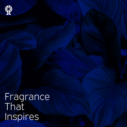 ALFAHA™ brand imagery for Dragon Flame Eau De Parfum, highlighting its romantic, exotic notes designed for lasting impressions.