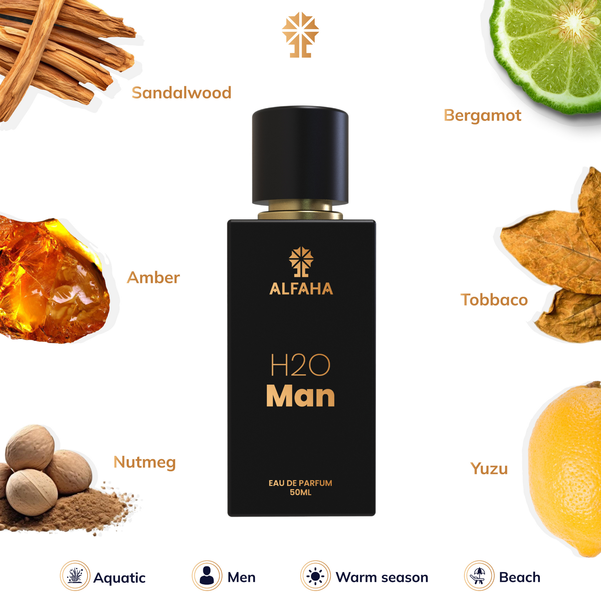 H2O Man scent profile – opens with yuzu and oceanic notes, evolves with clary sage and water lily, and finishes with sandalwood, vetiver, and amber.