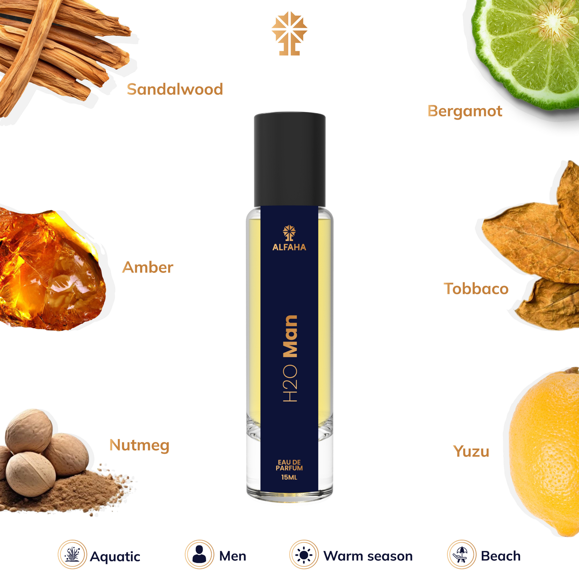 H2O Man scent profile – opens with yuzu and oceanic notes, evolves with clary sage and water lily, and finishes with sandalwood, vetiver, and amber.