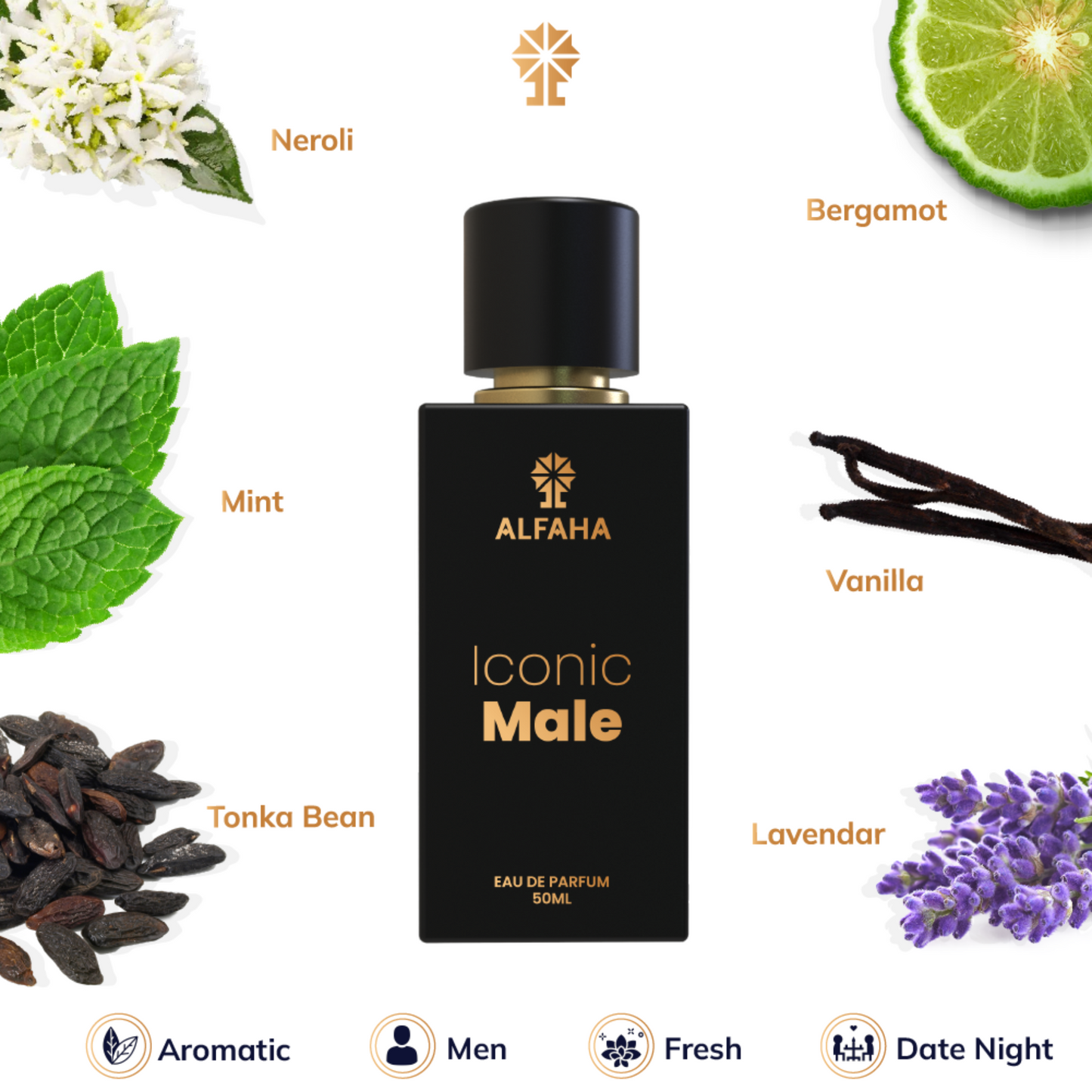 Iconic Male fragrance profile – opens with crisp Bergamot and fresh Mint, evolves into Lavender and Neroli, and finishes with Tonka Bean and Vanilla.