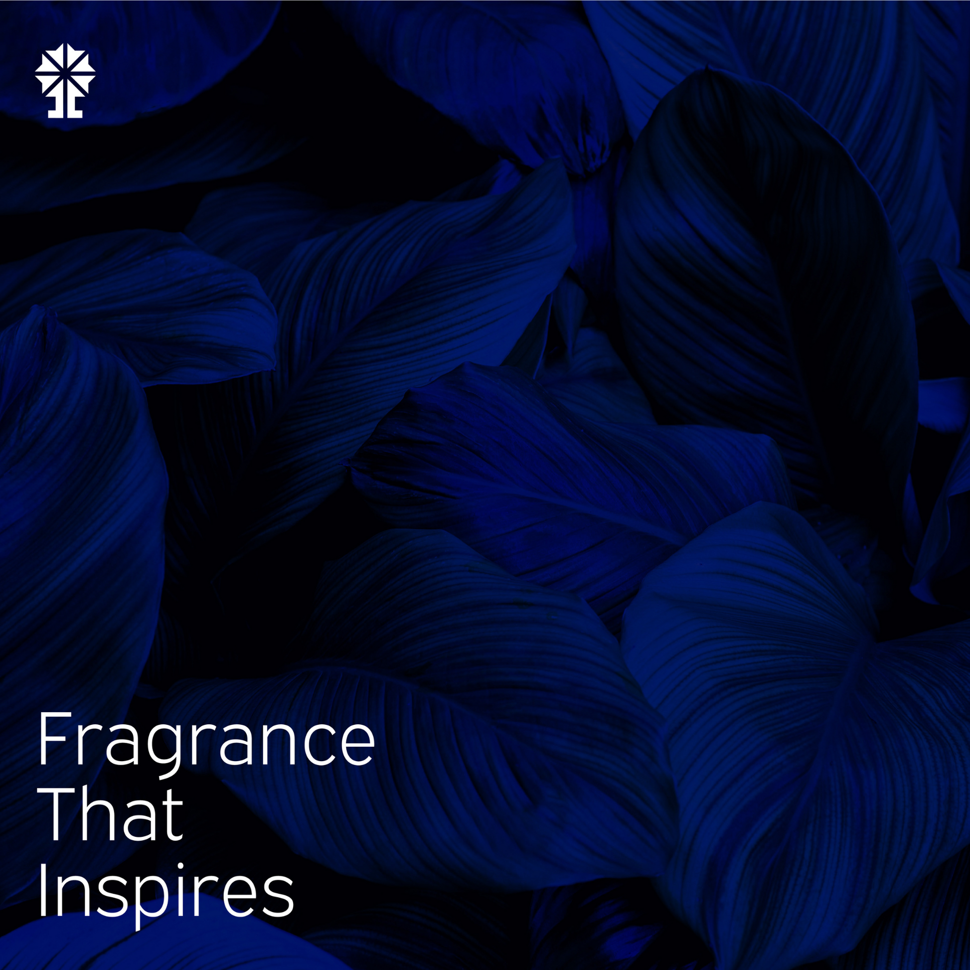 ALFAHA™ brand image for Intense Noir Eau De Parfum, highlighting its bold, sophisticated character, designed for the man who seeks attention and admiration.