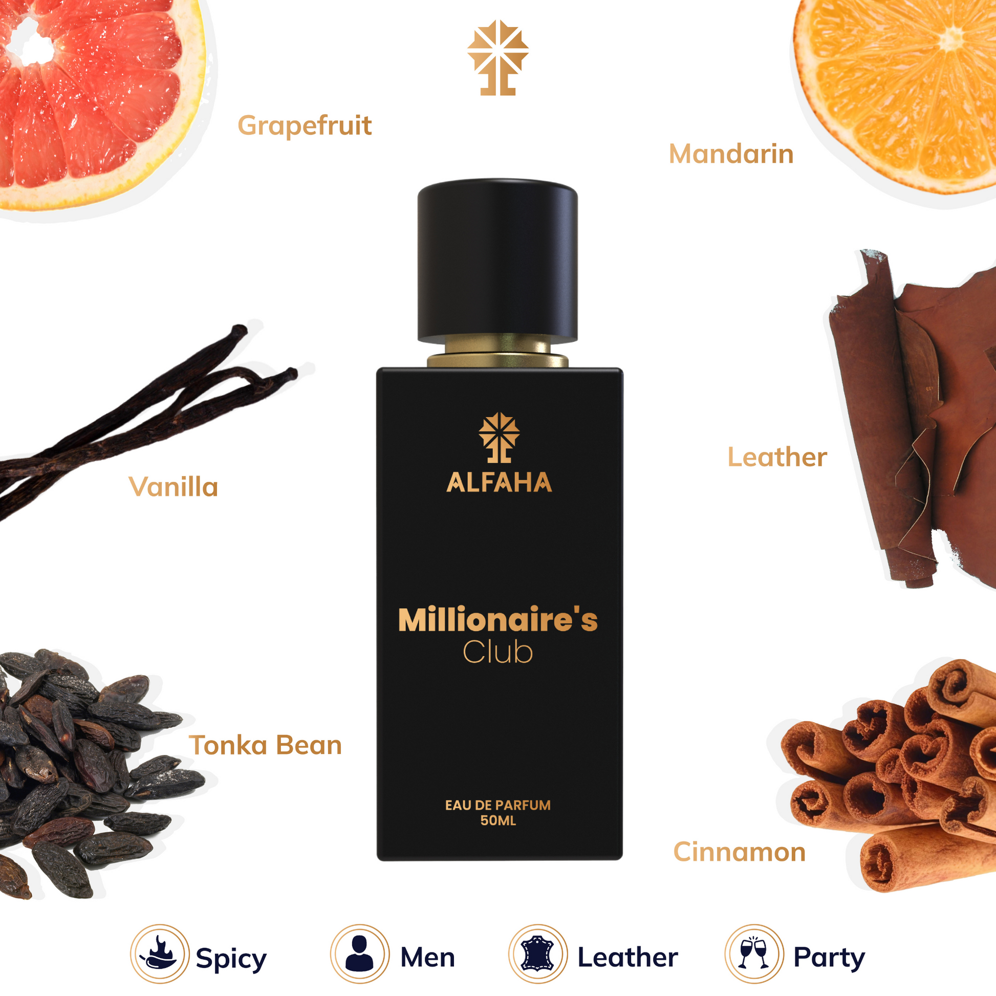 Millionaire Club scent profile – opens with mandarin and mint, warms with cinnamon and leather, and finishes with a rich base of tonka bean and amber.