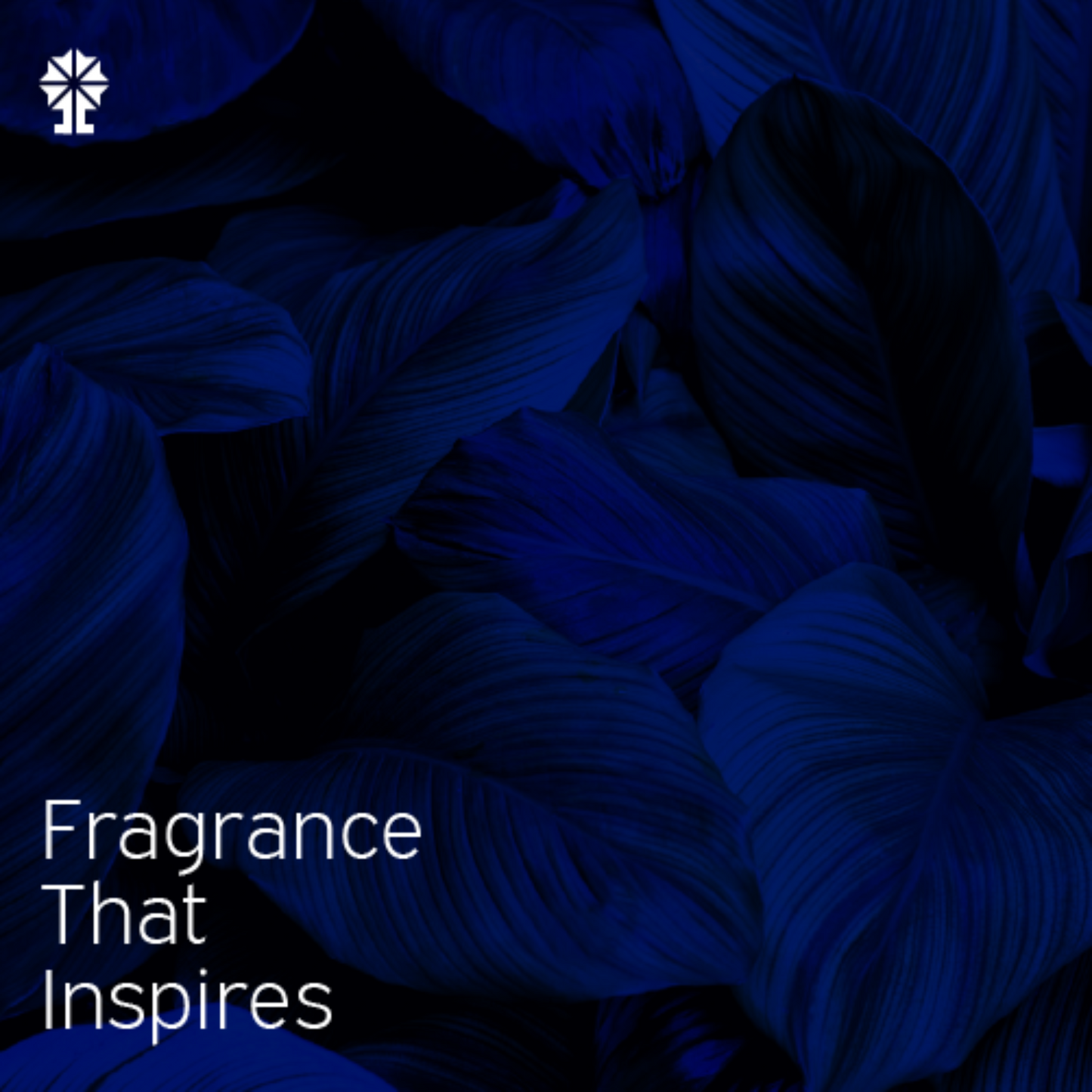 ALFAHA™ brand image for Oudh Al Rasaqat – embodying luxury, boldness, and the festive spirit, crafted for the sophisticated man.