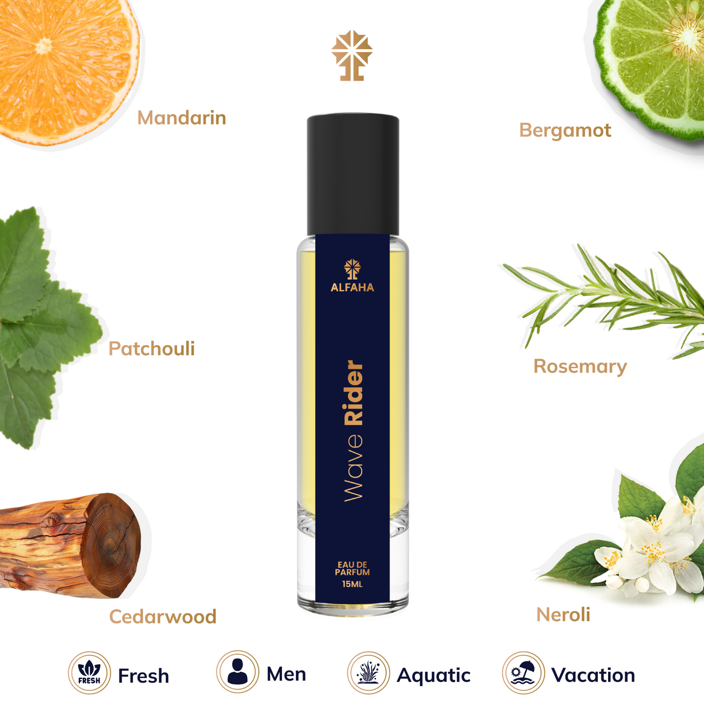 Wave Rider fragrance profile – opens with Calone, Mandarin, and Bergamot; heart of Jasmine, Neroli, and Rosemary; base of Cedarwood, Patchouli, and Ciste Labdanum